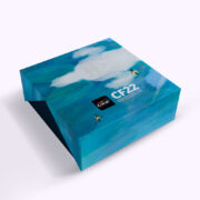 Caixa cartonada Tampa Articulada Dupla