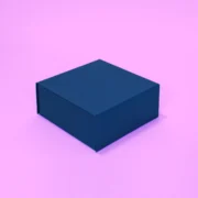 Caixa Smart&Pronto Basic 21,0x21,0x9,0cm Azul