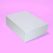 Caixa Smart&Pronto Basic 22,5x33,0x10,0cm Branca