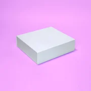 Caixa Smart&Pronto Basic 25,0x23,0x7,0cm Branca