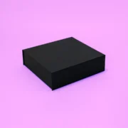 Caixa Smart&Pronto Basic 25,0x23,0x7,0cm Preta